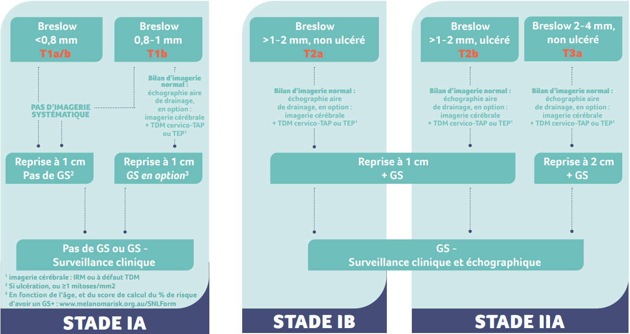 algorithme melanome stade 1-2