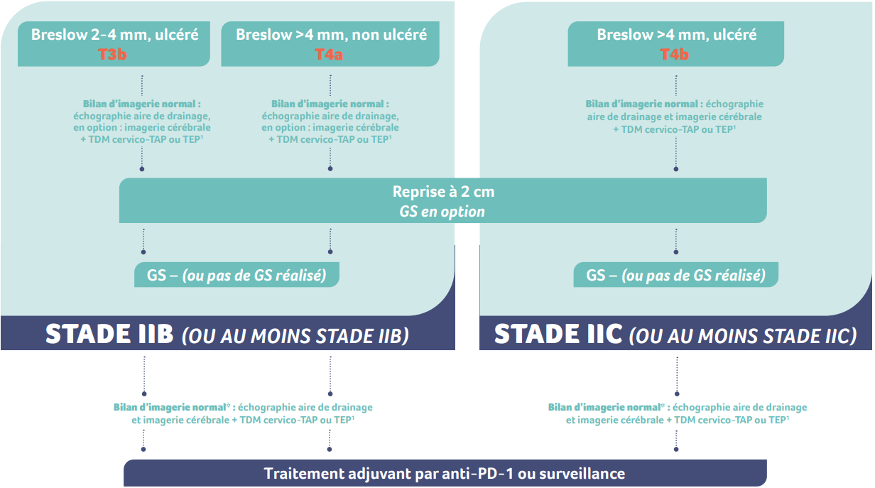 algorithme melanome stade 2b-2c